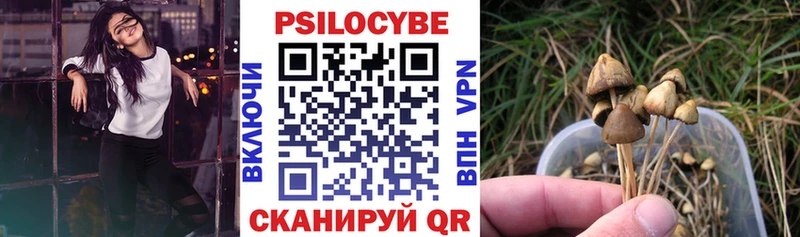 хочу наркоту Уяр Псилоцибиновые грибы мухоморы